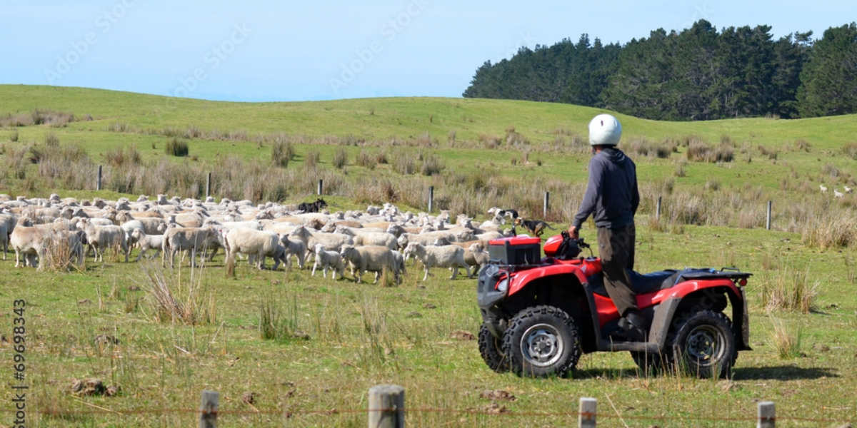 Tips for Using Your ATV For Herding
