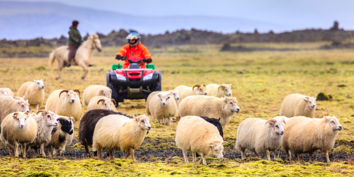 Get More Done This Fall with Your ATV