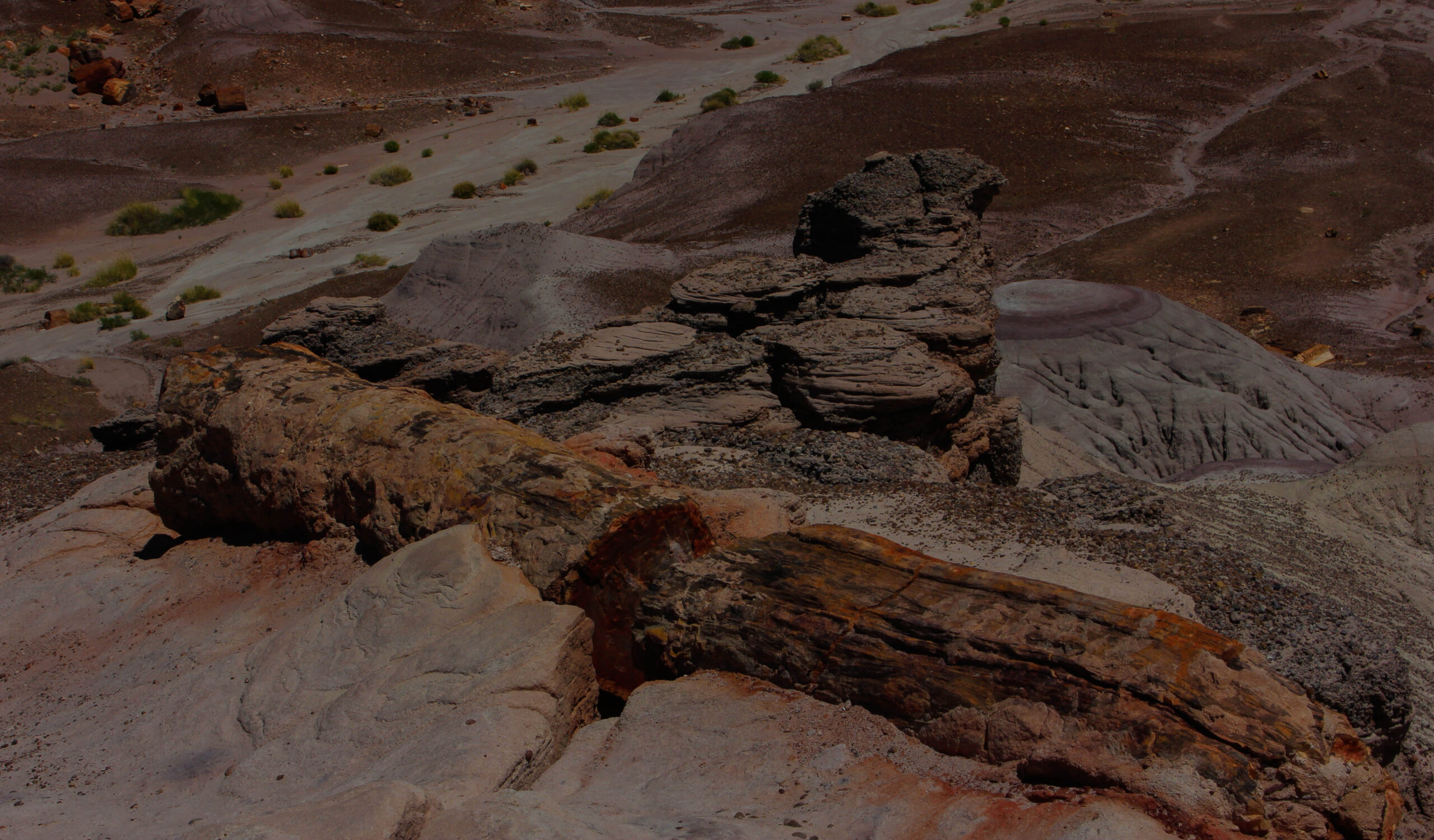 Petrified Forest National Park: RV Camping and Travel Guide - RV Trader ...