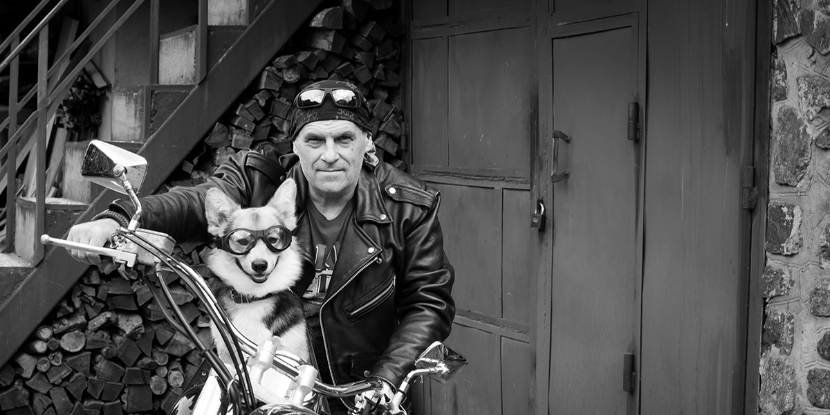 Riding With Your Dog