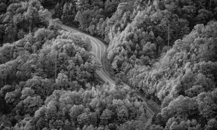 Top 5 Fall Motorcycle Rides – Updated for 2023