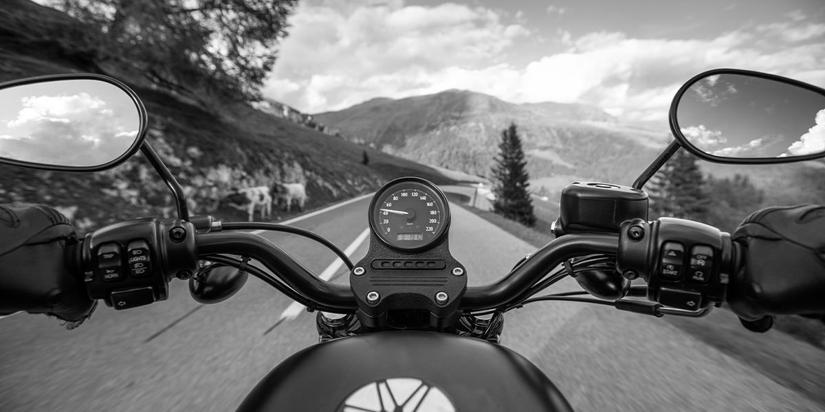 eco-friendly riding