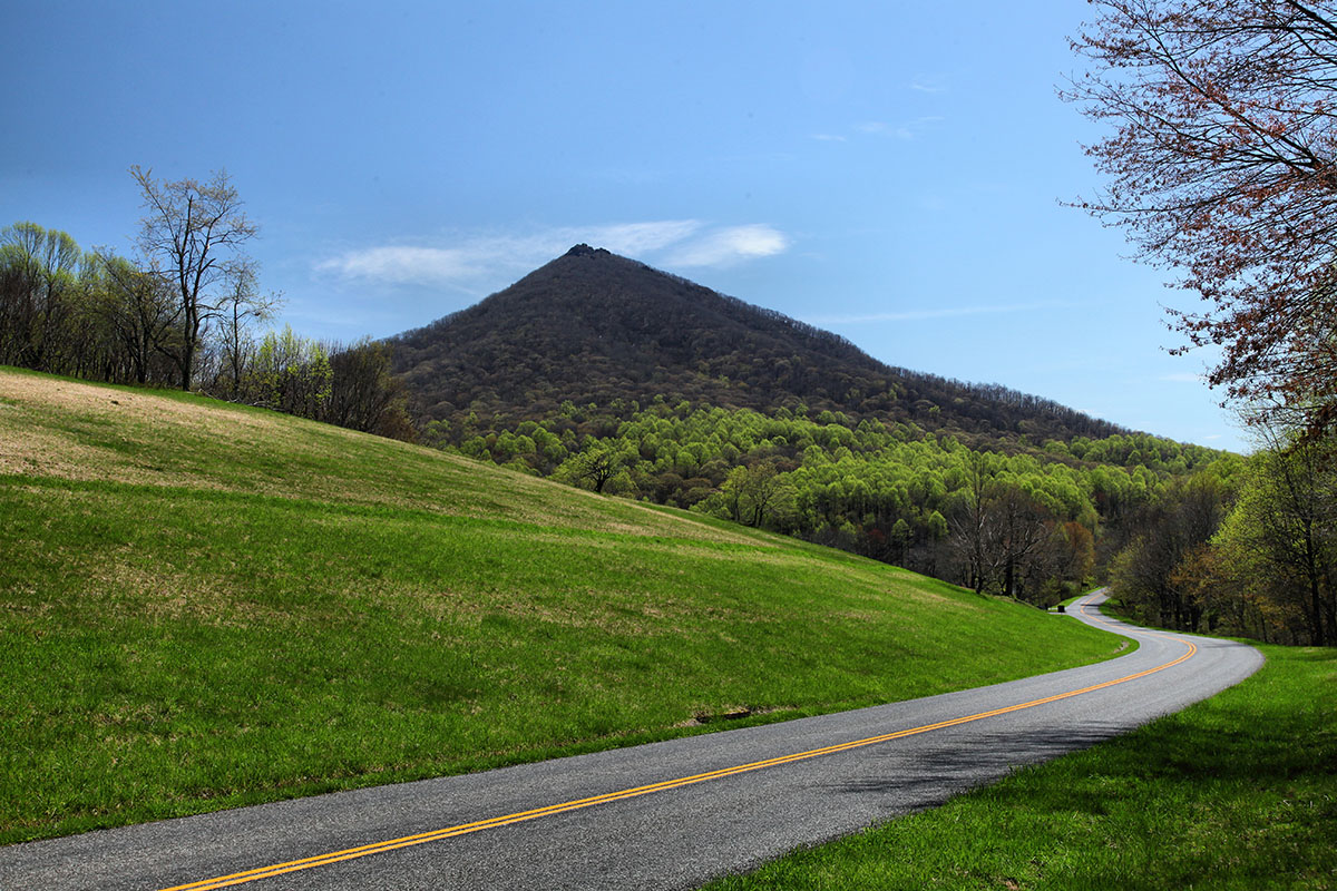 Tips for Riding the Diamondback