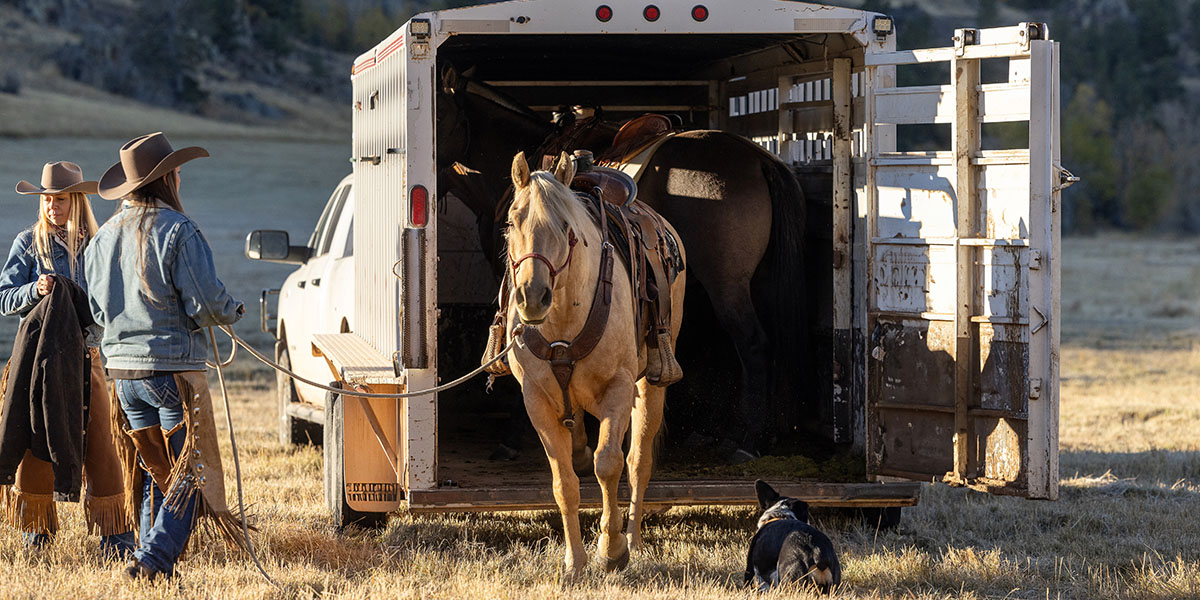 Year of the Horse: Top Horse Trailers on the Market