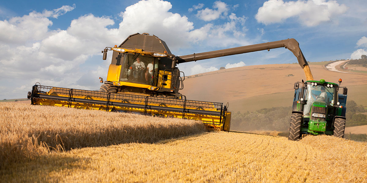 agriculture