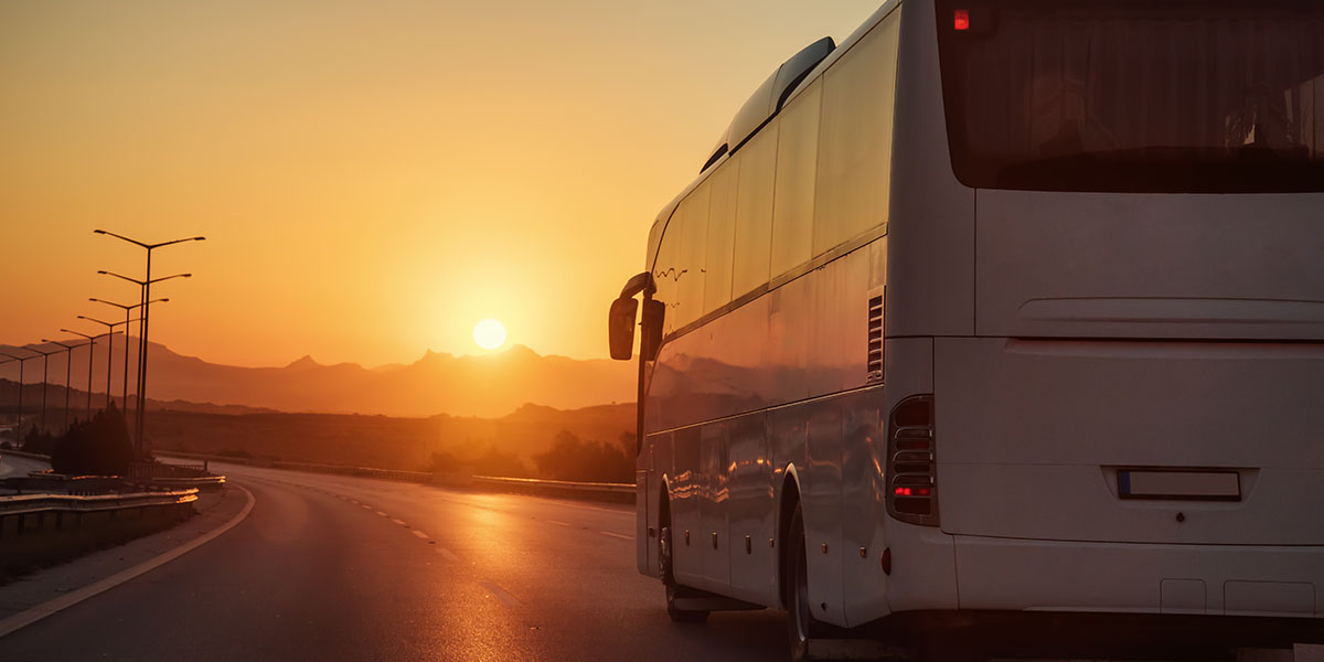 tour buses