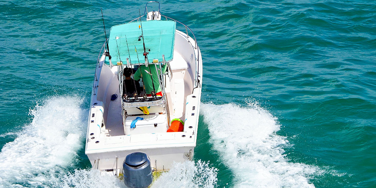 What Qualities Should You Look for in Fishing Coolers?