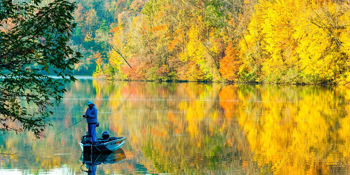 You Are Going to Want to Eat These Best Tasting Freshwater Fish
