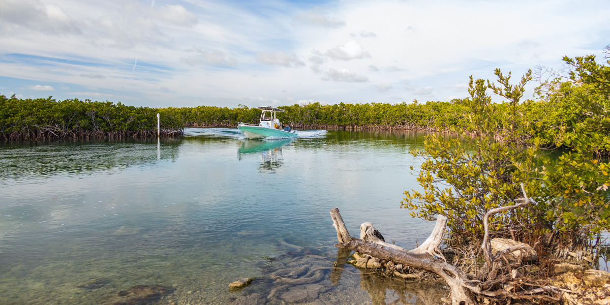 fishing the Florida shallows
