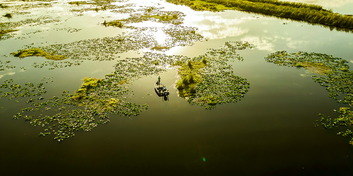 You’ll Want to Catch These Florida Inland Fish